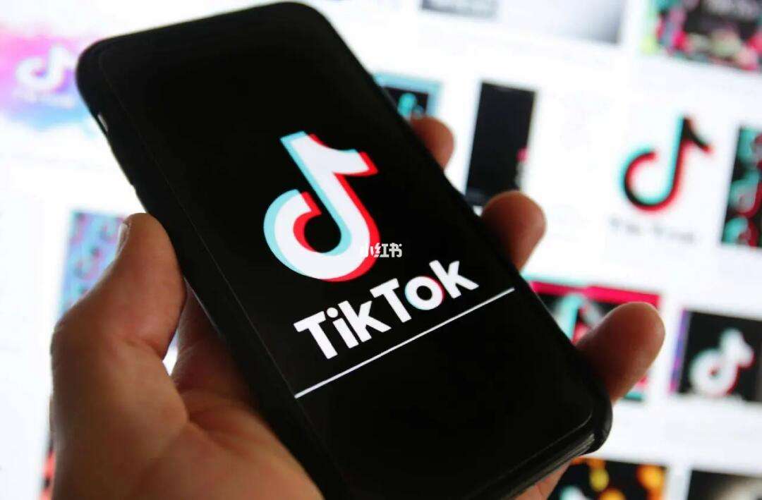 tiktok国内苹果版tiktok国际版看不了