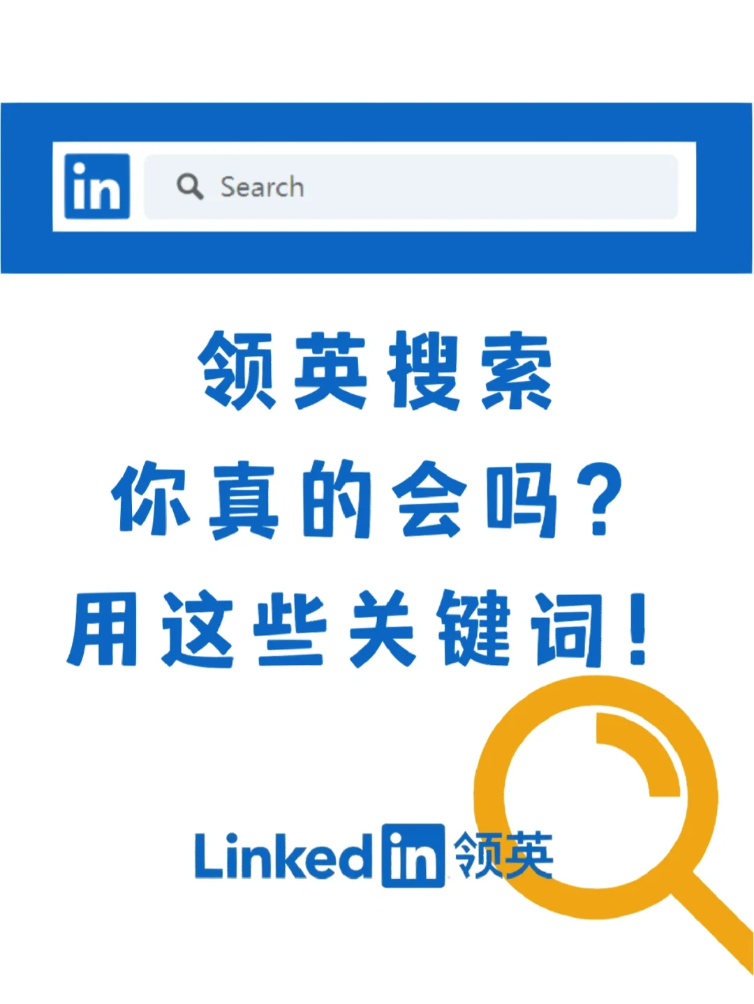 手机领英英文版linkedin国际版登录入口-第2张图片-太平洋在线下载