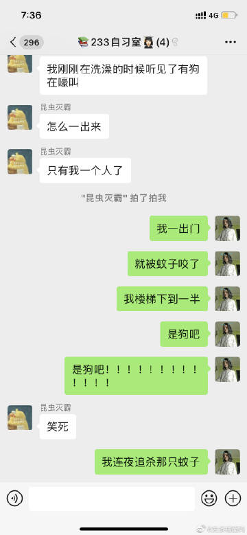 发条网pc客户端股海网手机版app下载