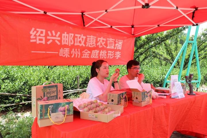 嵊州新闻客户端嵊州电视台新闻综合频道