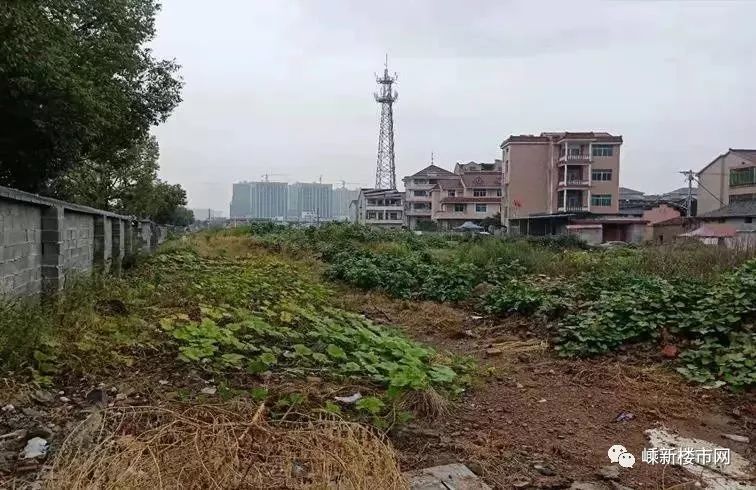 嵊州新闻客户端嵊州电视台新闻综合频道-第2张图片-太平洋在线下载