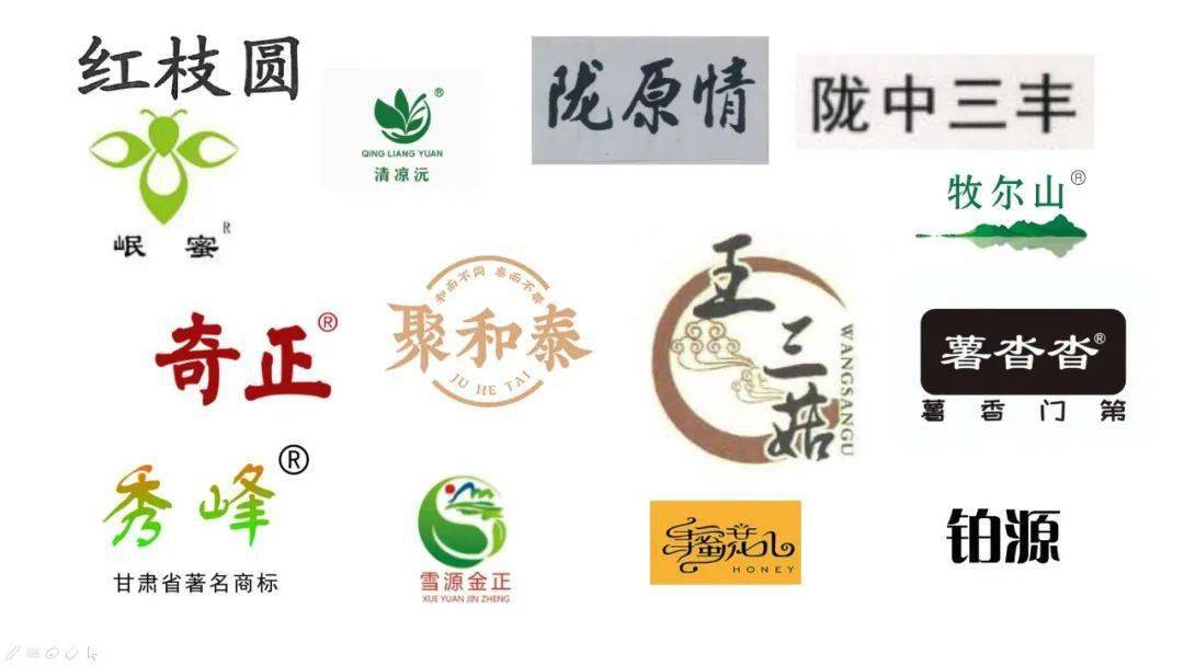健康甘肃安卓版健康甘健康甘肃肃电脑版登录-第2张图片-太平洋在线下载